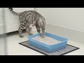 Royal Canin Urinary Care 2kg
