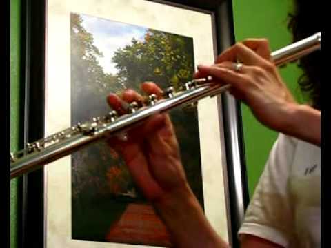 Gemeinhardt KG Special - Used Flute For Sale