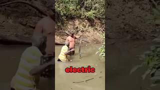 Man vs. Electric Eel 😱
