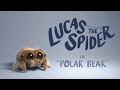 Lucas the Spider - Polar Bear - Short