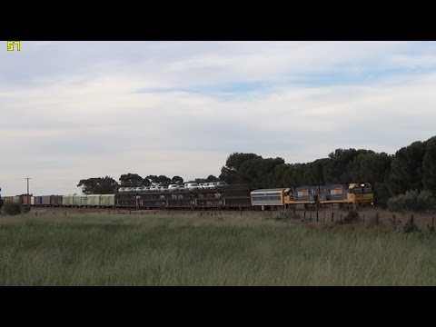 Pacific National 7PM5 arriving at Snowtown