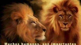 Carta de un León a otro León