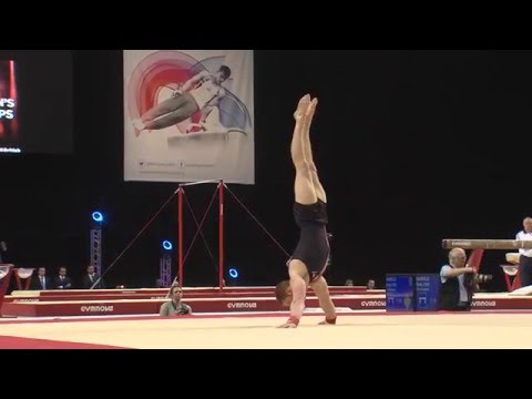 Dan PURVIS SILVER Floor 2016 Senior Men's British All-Around