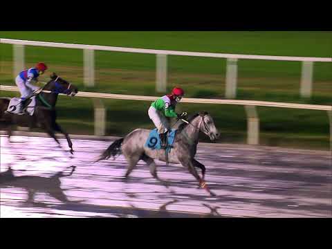 210627 c08 FORESTER P