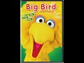 Opening To Sesame Street Presents Follow That Bird 2009 DVD 2014 Big Bird And Friends Reprint