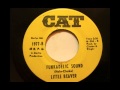 Little Beaver - Funkadelic Sound
