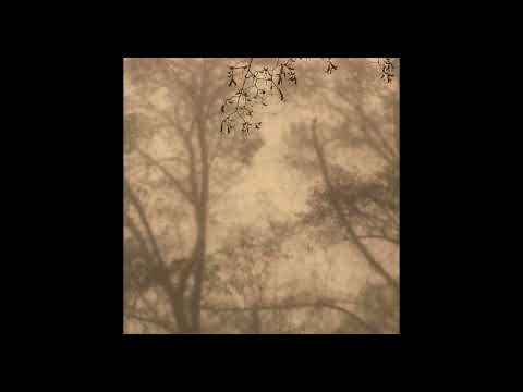 Bozart ft Jennifer Cardini - The Dark, The Light (extended version)