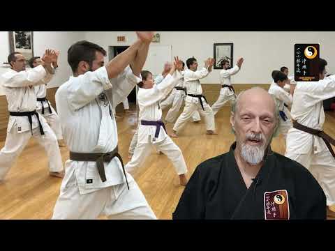 My Karate Life, Part 4 – Shihan Rod Lindgren