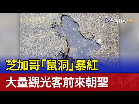 鼠洞