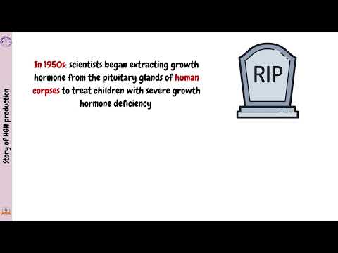 Human growth hormone in genetic engineering - Group 7 - MTI University 🎓