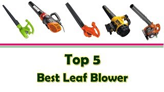 5 Best Leaf Blower 2017 | Best Leaf Blower For Cleaning Gutt