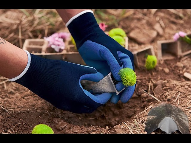 Vídeo relacionado con RuviGrab - Guante de Trabajo en piel de Flor de Vacuno Natural para Jardinería, construccion y obra, industria, Guantes de Piel