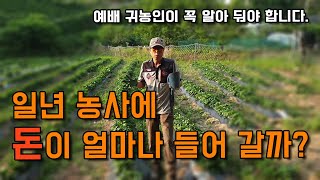 귀농 첫 농사 1년 농사 비용을 알면 실패하지 않는다. 비용 관리 요령