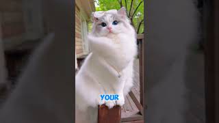 Is This Honey KILLING You? 😱                        #shorts