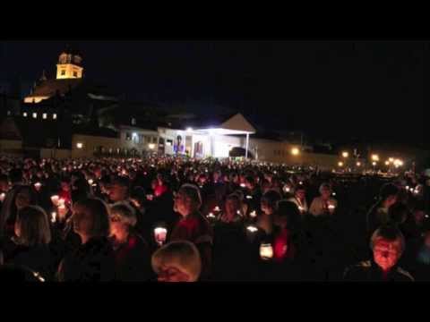 Mladi Zagrebačke nadbiskupije - zajedno u Kristu
