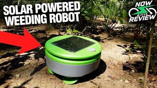 Tertill Weeding Robot Review - A Roomba for the Garden?