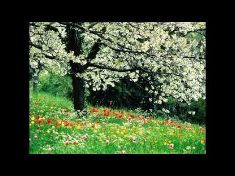 Fuggi, Fuggi, Fuggi da Questo Cielo Lyrics Giuseppino 16th century ode spring Smart Symphonies