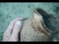 "Treasure Hunting in Bermuda" CLIP0005.AVI ...