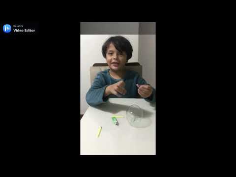 Aventuras com B'loonies a cola bolha mágica!!!!