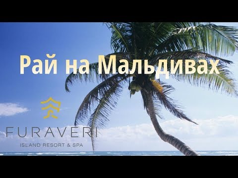 Furaveri Island Resort & Spa 5* Мальдивы . Обзор отеля.