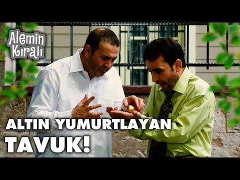 Beşer'in tavuğu altın yumurtladı! - Alemin Kıralı 8. Bölüm