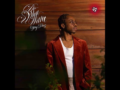 Yung D3mz -  Do What U Want [Audio Slide]