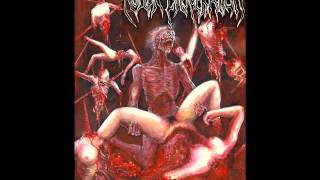 Rotten Evisceration - '' Holy Butchery ''
