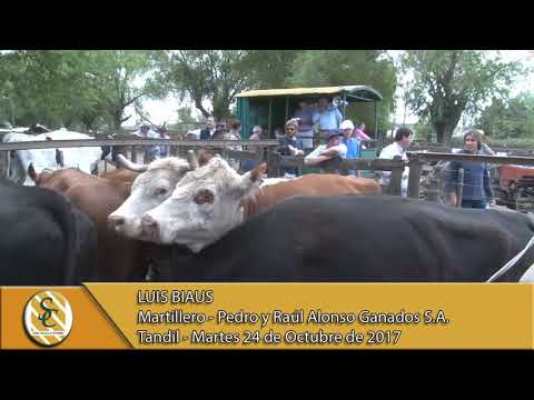 24-10-17 Nota Luis Biaus - Pedro y Raúl Alonso Ganados S.A. - Tandil