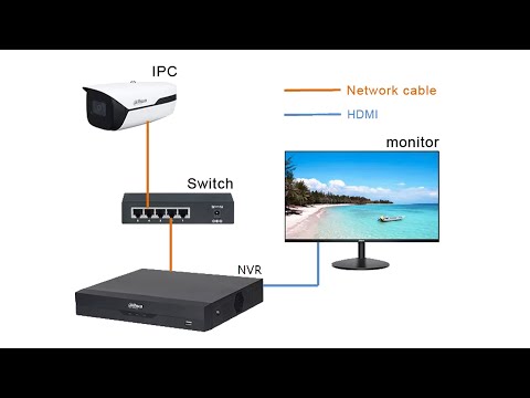 Show the Dahua IPC Camera NVR and Swtich plug and play