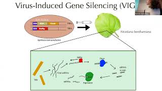 UW Madison Genetics Colloquium - Erin Alberts