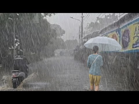 Rain Hits Asia! Tropical Heavy Rain in Small Village Street | Deep Sleep Rain Ambience
