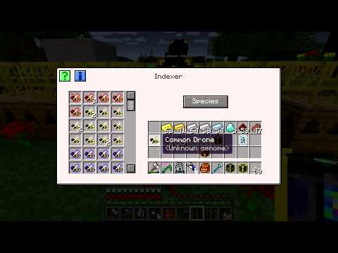 [025] Advanced Bee Machines