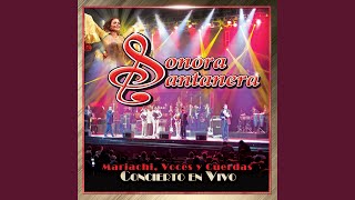 Musita Donde Estas Yolanda (feat. Ballet Sonora Santanera) (En Vivo)