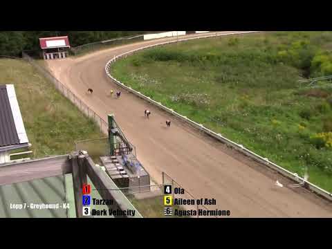 2020-08-08 - Race 7 - Borås GP Race