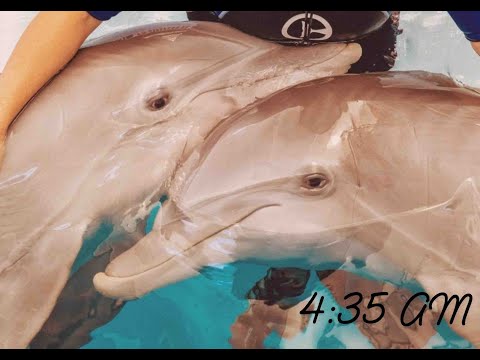 4:35 AM - Official Music Video