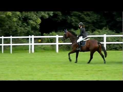 Zarina - 1.20m Young Riders Jump Off Bicton