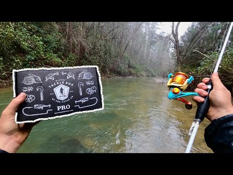 Eating Only What I Catch With a MYSTERY TACKLE BOX! (24hrs)