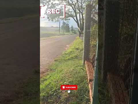 Nuevo Video ‼️🤩 Camino al Club de Caza Pesca y Deportes Náuticos Bella Vista-Itapúa-Py