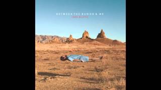 Between the Buried and Me - Turn On the Darkness