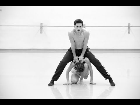 Teaser: Gods and Dogs