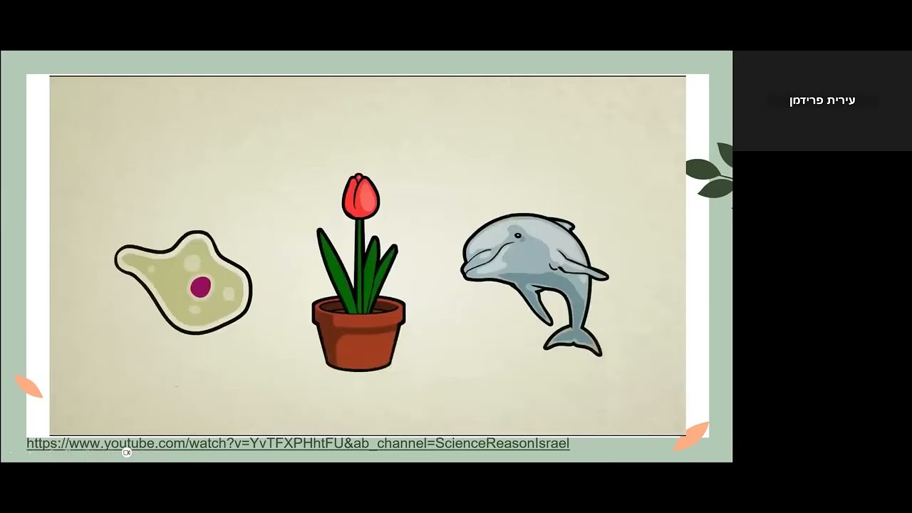 מזון למחשבה מקוון שיעור 2