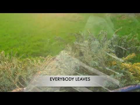 Christmas Tree Song #ScrollTheMusical