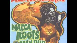 the revolutionaries - the flood of dub.wmv