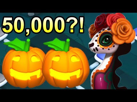 Level 6 Total Pumpkin Cost! How Long Does It Take to Finish Level 6? - DML #645