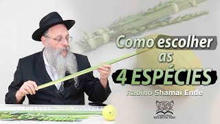 COMO ESCOLHER AS 4 ESPÉCIES PARA FESTA DE SUCOT? | Programa Láma Rabino 337