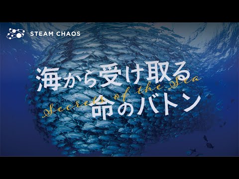 『海から受け取る命のバトン #1』 母なる海が危ない！鎌倉の海を守るため、ブリパイセン一味がドドド〜ッと海を駆け巡る！「おいしい海は何処へ行っちまったんダァ〜」#STEAMCHAOS
