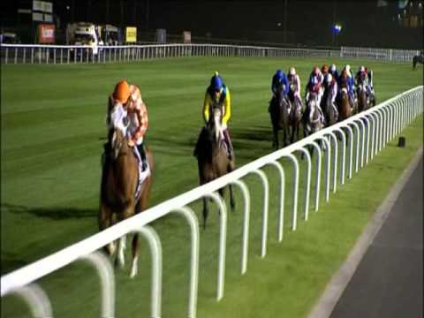 Ichiban-Trip Collection: DWC-2010, Dubai Sheema Classic