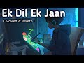 Ek dil ek Jaan | Padmaavat | Shivam pathak | Slowed -Reverb