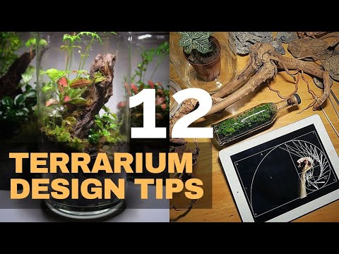Terrarium Design Tips || 12 Tips for creating beautiful and natural looking terrariums
