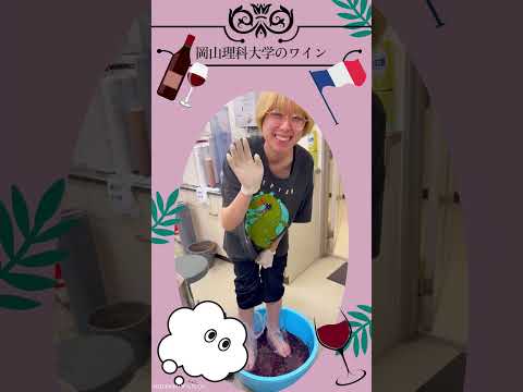 ワイン発酵科学センターにてワイン造り開始！ #岡山理科大学 #sns投稿 #岡山 #ワイン #科学